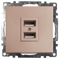 Розетка 2-местная USB (механизм), 250В, 2,1А, серия Катрин, GLS10-7115-02, шампань STEKKER /1/   602