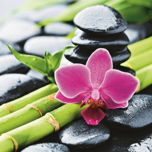 BRIMIX Шторка в ванную комнату фотопечать, без колец (*Бамбук с цветком 02-19)