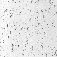 Плита "Bajkal Board" Armstrong ВР9842М3 600х600х12мм (20 плит/упаковка 7,2м2)