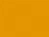 Колеровочная паста 03 ЖЁЛТО-КОРИЧНЕВЫЙ Коллекция Три слона 0,1л бутылка ПЭТ