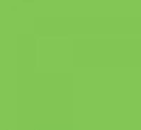 Колеровочная паста 25 ЗЕЛЁНОЕ ЯБЛОКО Коллекция Три слона 0,1л бутылка ПЭТ